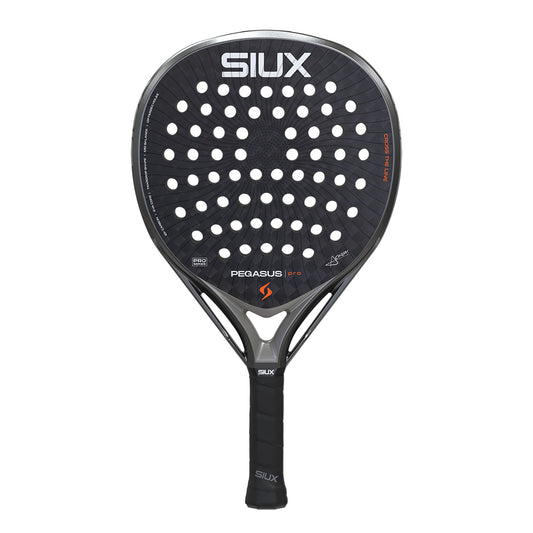Siux Pegasus Pro 2026 Storm Gray
