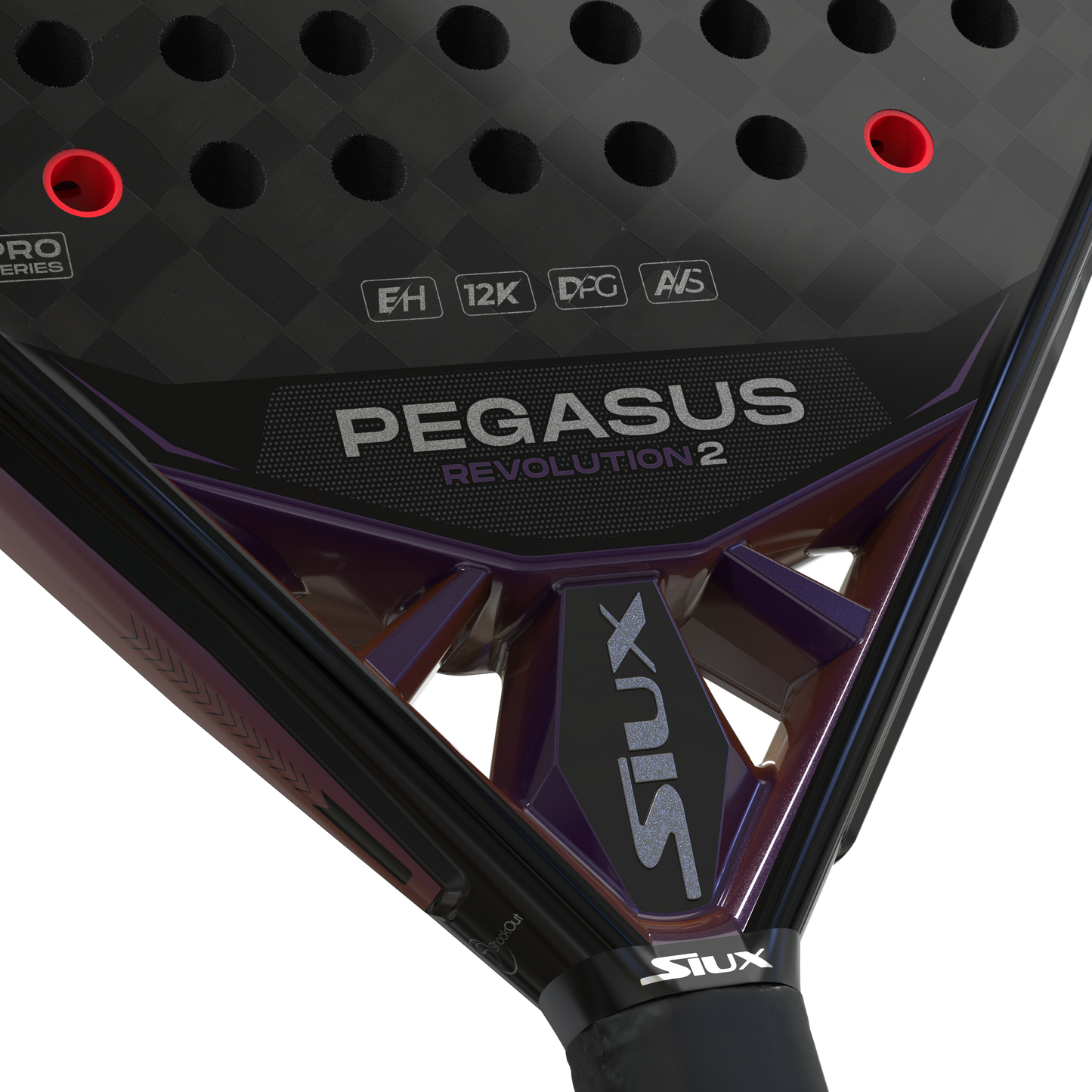 Pegasus Revolution 2